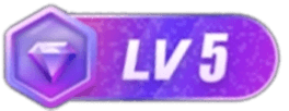 等级-LV5-爱搭资源网