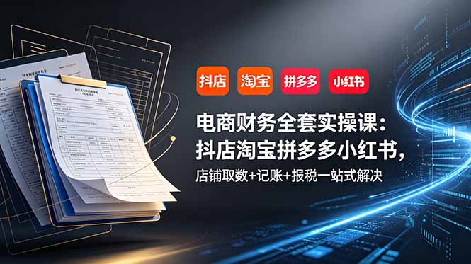 电商财务全套实操课：抖店淘宝拼多多小红书，店铺取数+记账+报税一站式解决-爱搭资源网
