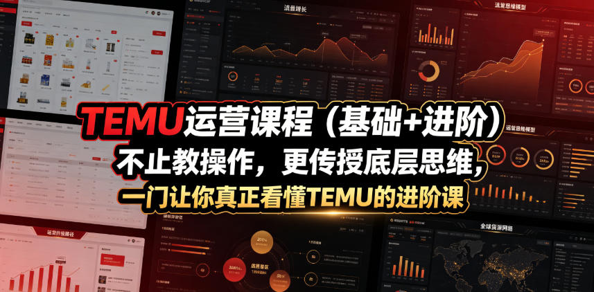 TEMU运营课程(基础+进阶),不止教操作,更传授底层思维,一门让你真正看懂TEMU的进阶课-爱搭资源网