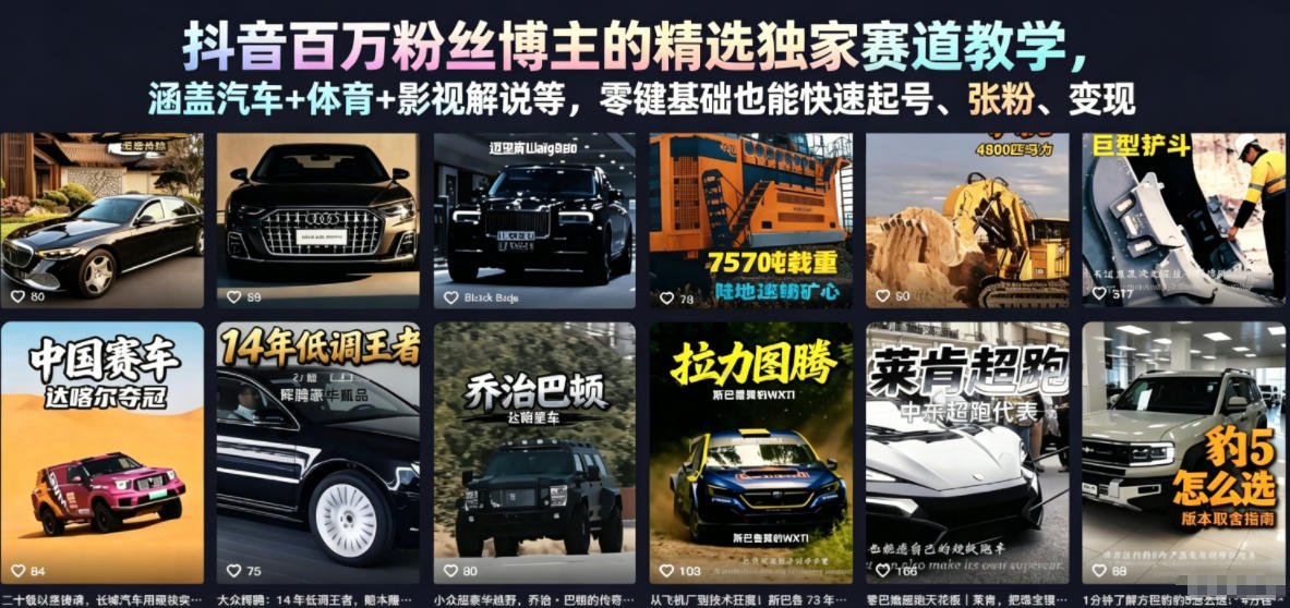 抖音百万粉丝博主的精选独家赛道教学，涵盖汽车+体育+影视解说等，零基础也能快速起号、涨粉、变现(更新0701)-爱搭资源网