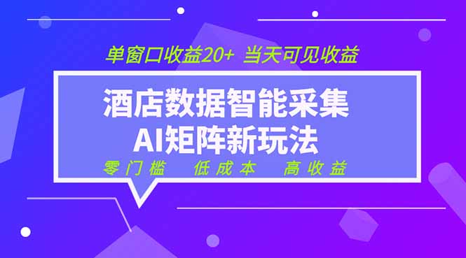 2026酒店数据采集ai智能矩阵新风口  低成本   高收益   当天见收益   单窗口20+-爱搭资源网