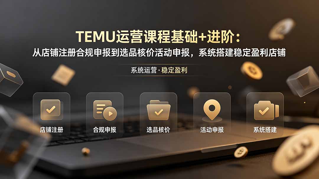 TEMU运营课程(基础+进阶-爱搭资源网