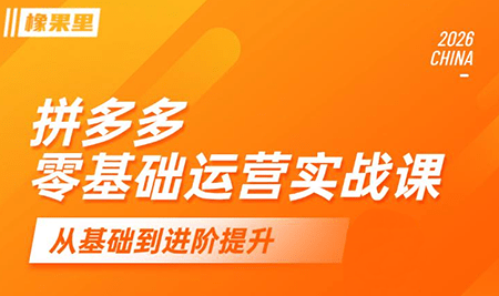 仙道电商·拼多多零基础运营实战课-爱搭资源网