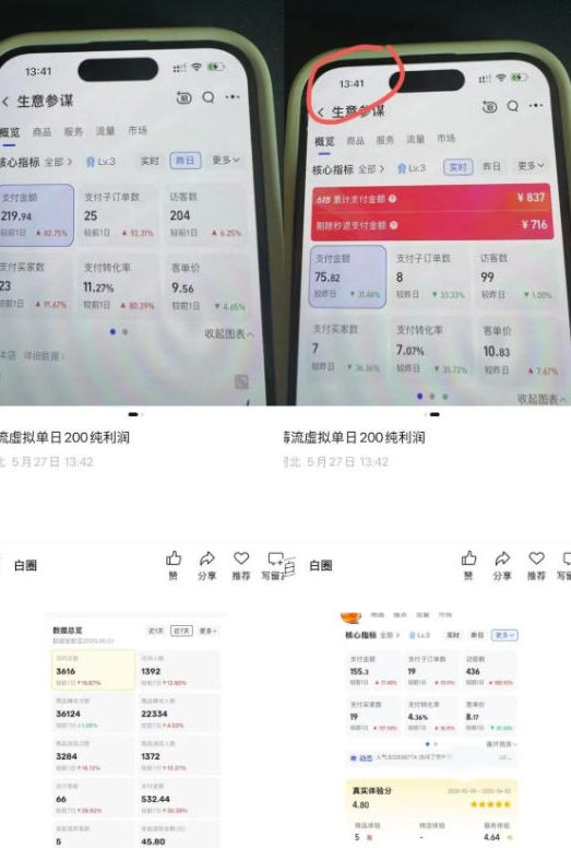 薅流虚拟2.0陪跑课，0成本AI流程化操作，淘宝+闲鱼同步玩法，上一次货两个平台有收益，单店每天200纯利润