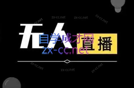 宝子哥·无人直播-非实时防风技术(更新6月)-爱搭资源网