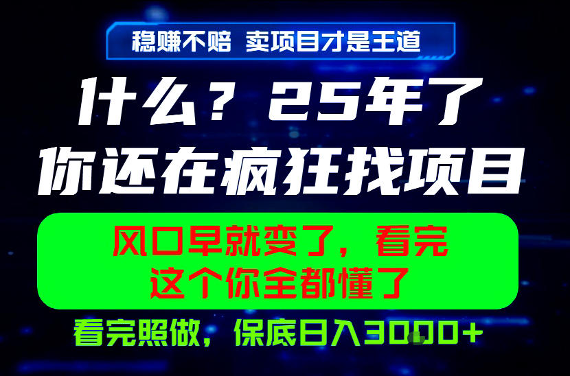 26年，请不要疯狂的找项目做了！卖项目才是真的稳賺不赔，看完照做，保底日入1k+【揭秘】-爱搭资源网