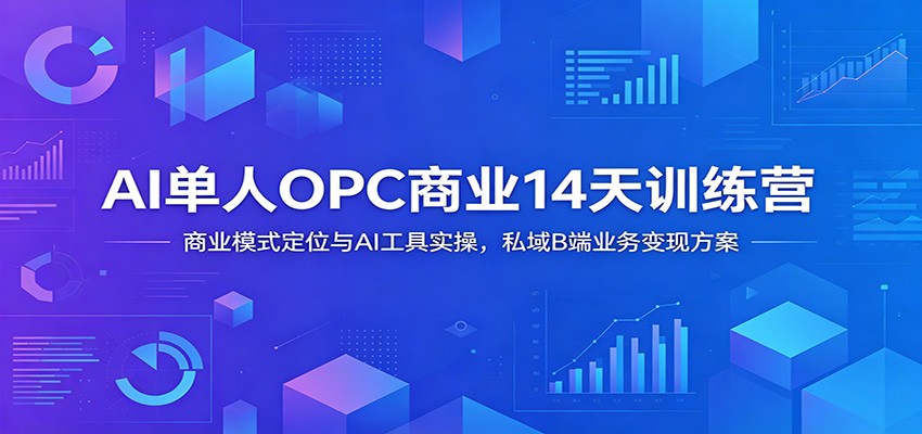 AI单人OPC商业14天训练营：商业模式定位与AI工具实操，私域B端业务变现方案-爱搭资源网