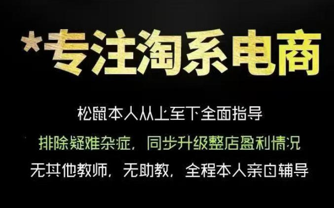 松鼠会电商VIP课程，从基础布局到高阶优化，助你掌握淘宝运营逻辑，提升店铺流量与转化(更新0703)-爱搭资源网