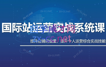 白老师·国际站运营实战系统(高质量询盘增长课)(更新)-爱搭资源网