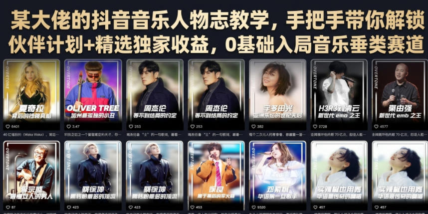 某大佬的抖音音乐人物志教学，手把手带你解锁伙伴计划+精选独家收益，0基础入局音乐垂类赛道-爱搭资源网