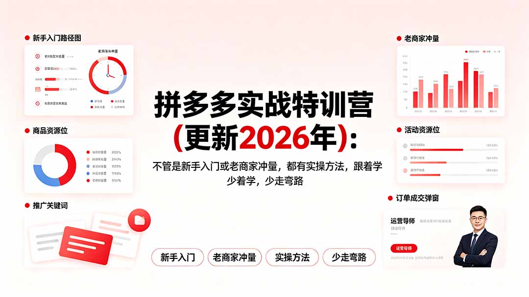 拼多多实战特训营(更新2026年-爱搭资源网