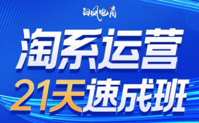 白凤电商·淘系运营21天速成班(更新7月)-爱搭资源网