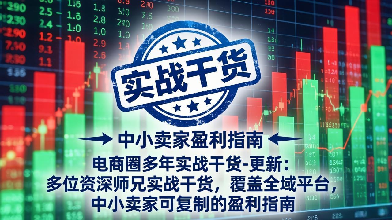 电商圈多年实战干货-更新2026:多位资深师兄实战干货/覆盖全域平台,中小卖家可复制的盈利指南-爱搭资源网