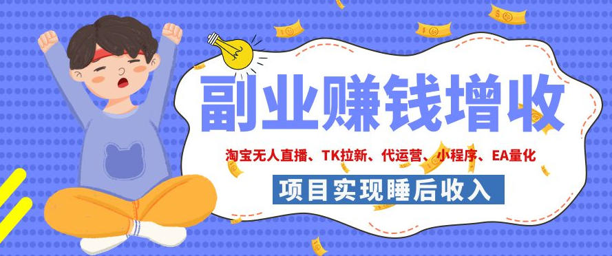 2026年多个真实落地副业项目，手把手带你搭建被动收入管道(淘宝无人直播、海外TK拉新、CSGO饰品交易、去水印小程序等)【揭秘】-爱搭资源网