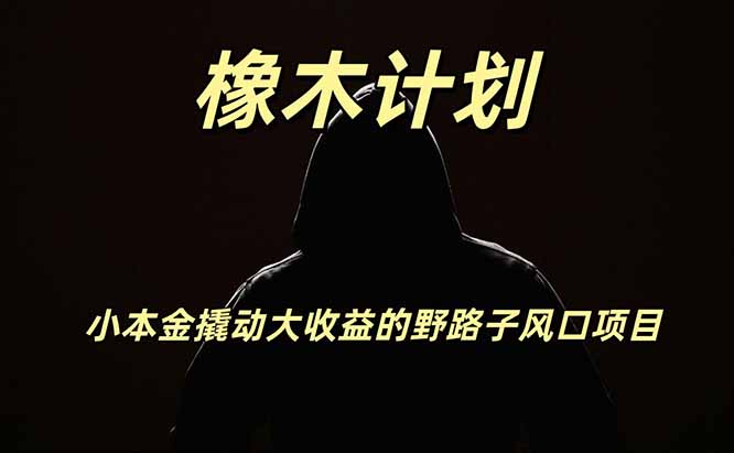 橡木计划，小投入撬动高回报的风口野路子项目，一天投入2小时左右-爱搭资源网