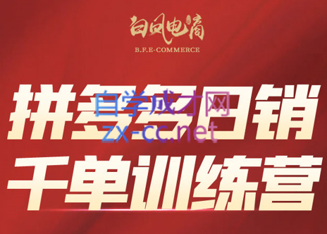 白凤电商·拼多多日销千单训练营(更新8月)-爱搭资源网