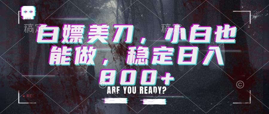 白嫖美刀，小白也能做，稳定日入800+-爱搭资源网