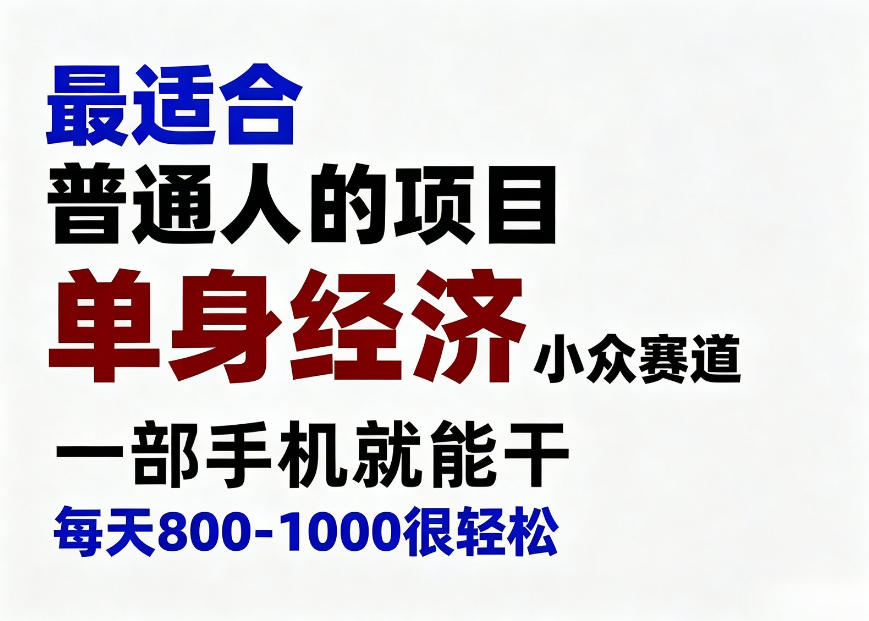 身经济小众赛道，一部手机就能干，每天搞个800-1000很轻松，最适合普通人的项目【揭秘】-爱搭资源网