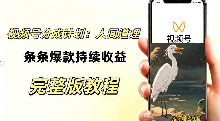 视频号新玩法之AI动漫画风励志视频，不用会画画、不用拍摄，持续化收益，详细拆解-爱搭资源网