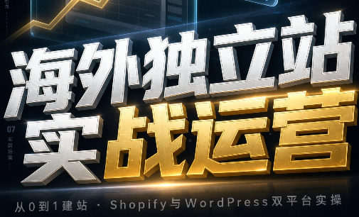 海外独立站实战运营-爱搭资源网