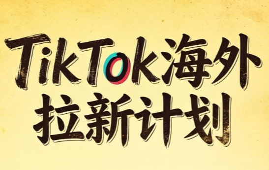 Tc联盟·TikTok海外拉新项目(更新9月)-爱搭资源网