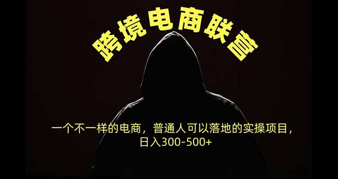 跨境电商联营，一个不一样的电商，普通人可操作日入300-500+-爱搭资源网