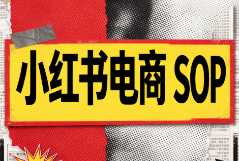 书豪必胜小红书电商sop(更新9月)-爱搭资源网
