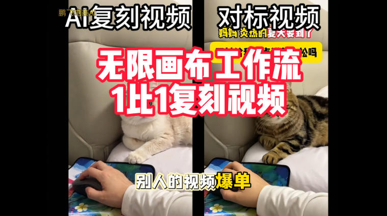 宠物带货视频复刻，无限画布工作流1比1，不用拍摄、不用布景、不用真人出镜，几分钟就能做出一条专业带货视频-爱搭资源网
