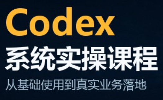 codex系统实操课程(更新10月)-爱搭资源网