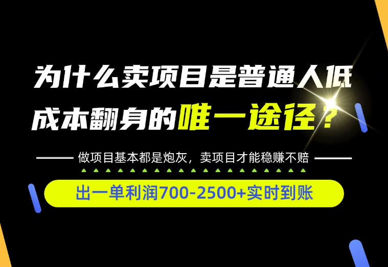 普通人如何靠互联网賺取自己的第一桶金！全类目实操型教学，看完你全都懂了！【揭秘】-爱搭资源网