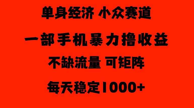 26年暴力单身经济，稳定日入500-1k，不缺流量，流量极大，冷门小众赛道，门槛低小白轻松上手【揭秘】-爱搭资源网