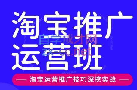 美迪电商·淘宝高级运营班+推广运营班(更新10月)-爱搭资源网