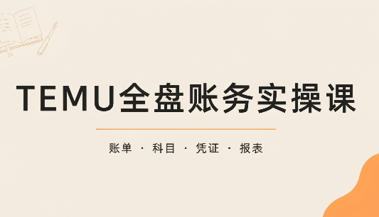 TEMU全盘账务实操课：账单导出、科目设置、利润核算-爱搭资源网