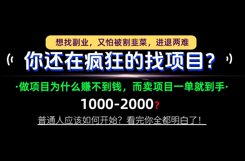 你还在疯狂的找项目？别傻了！卖项目才是真正的一本万利！怎么做，看完你全都明白！【揭秘】-爱搭资源网