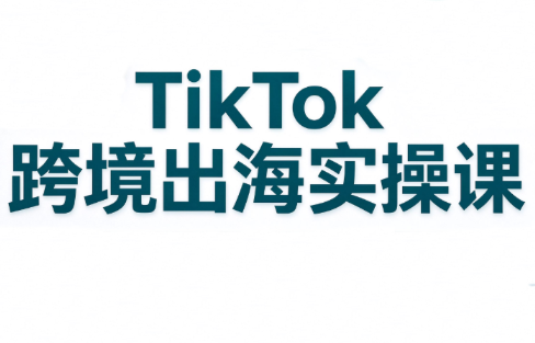 彭老师·TikTok跨境出海实操课-爱搭资源网