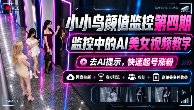 小小鸟颜值监控第四期，监控中的AI美女视频教学，去AI提示，快速起号涨粉，网盘拉新+商K引流+收徒+商单等多种收益-爱搭资源网